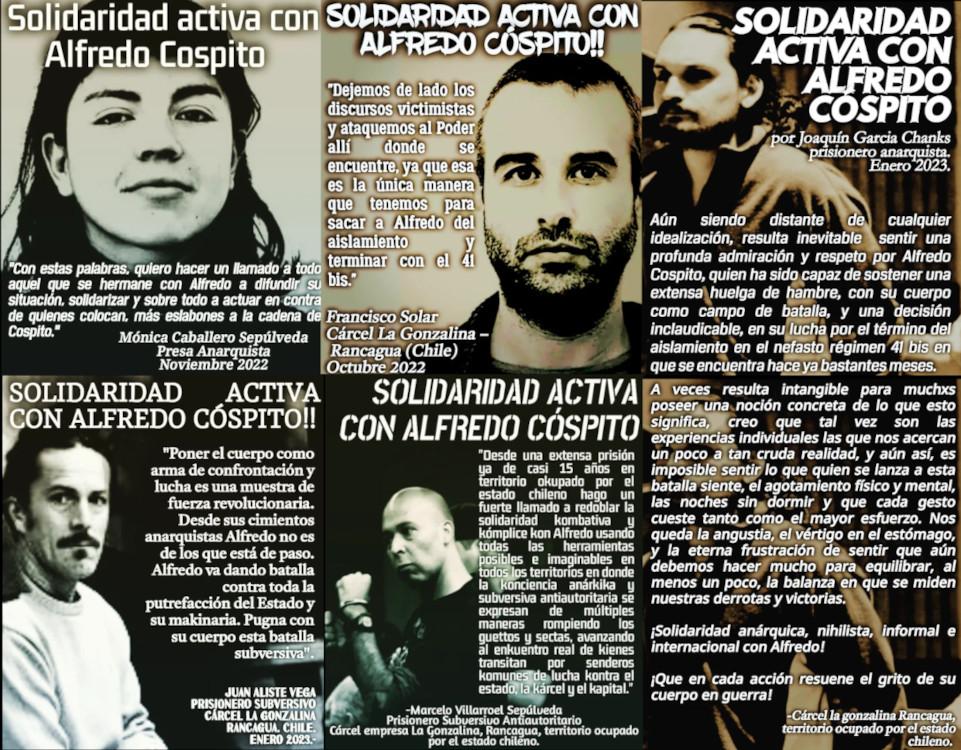Chile: Gráfica con fragmentos de cartas de compañerxs encarceladxs en solidaridad con Alfredo